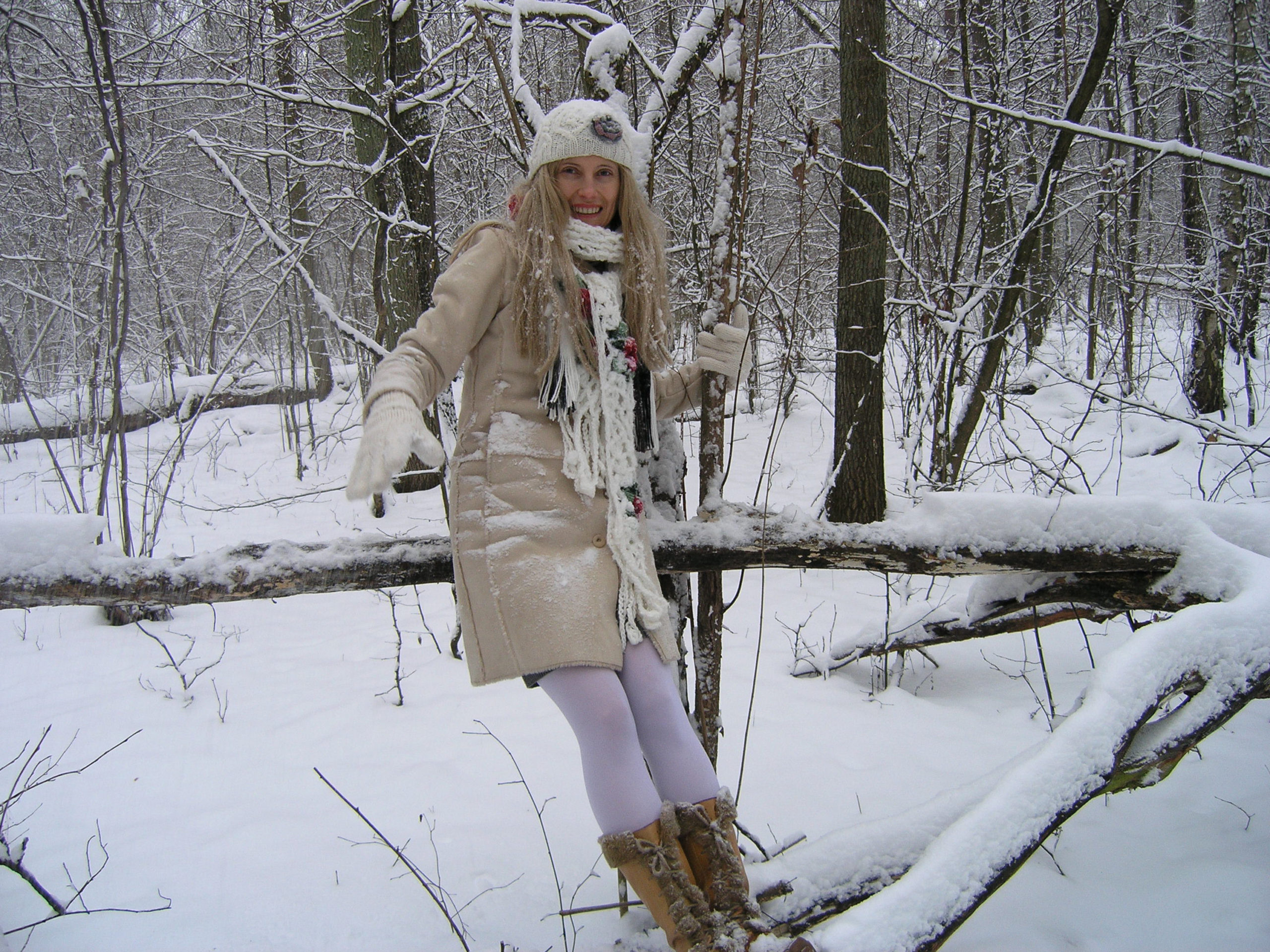 Viola na drzewie w zimie