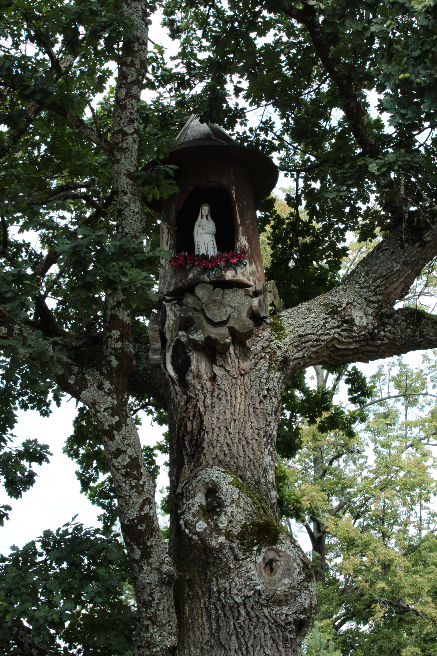 Kapliczka na drzewie