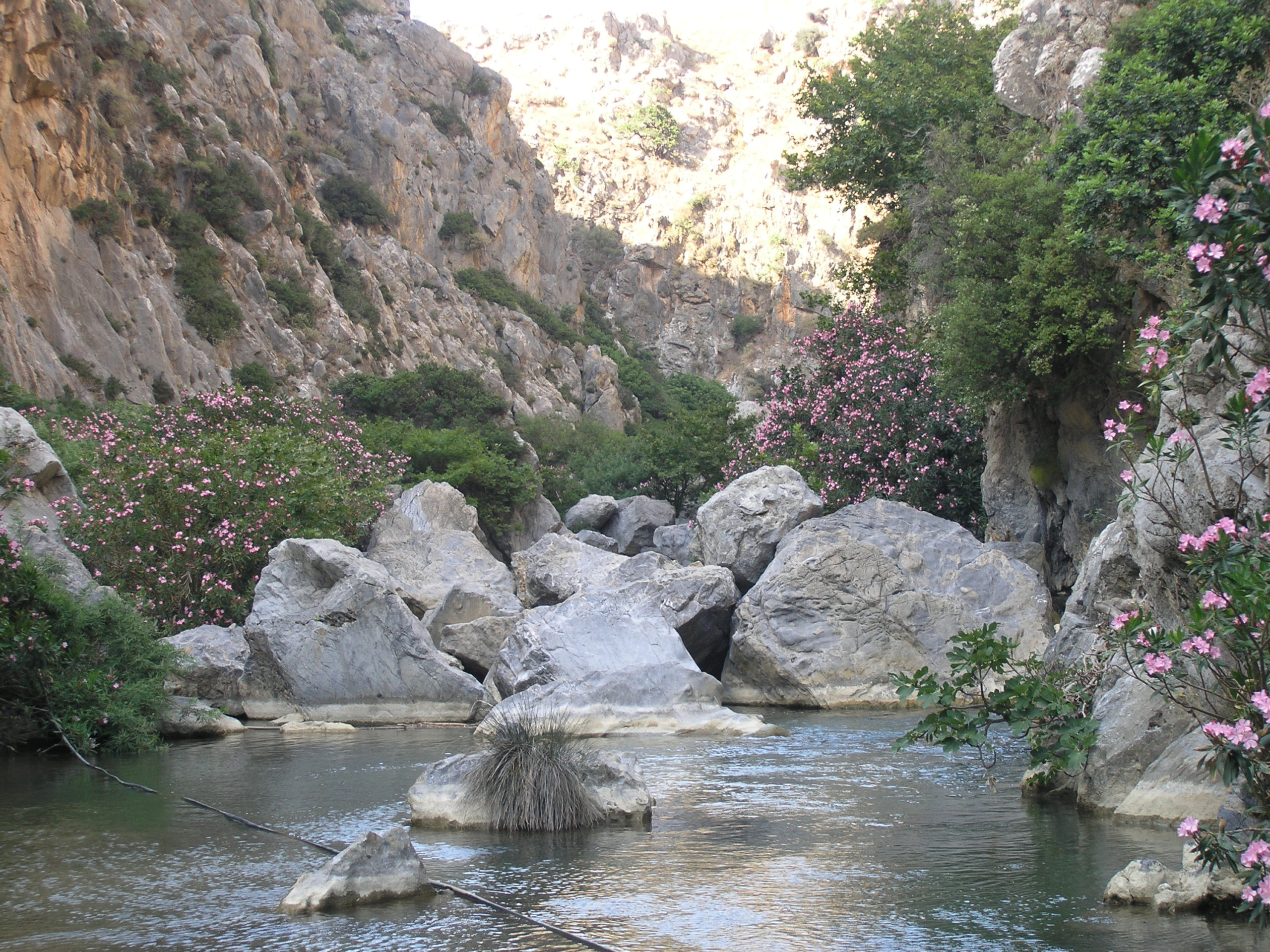 Rzeka wśród skał