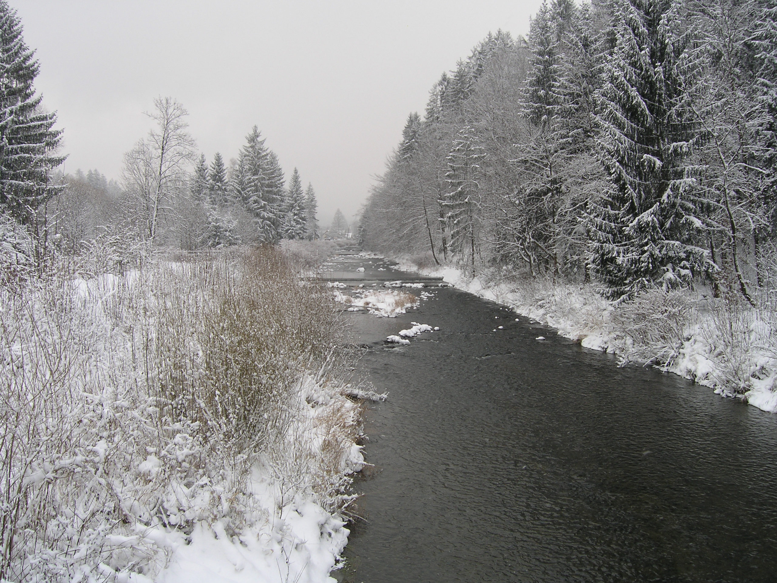 wisła widok na rzekę zima