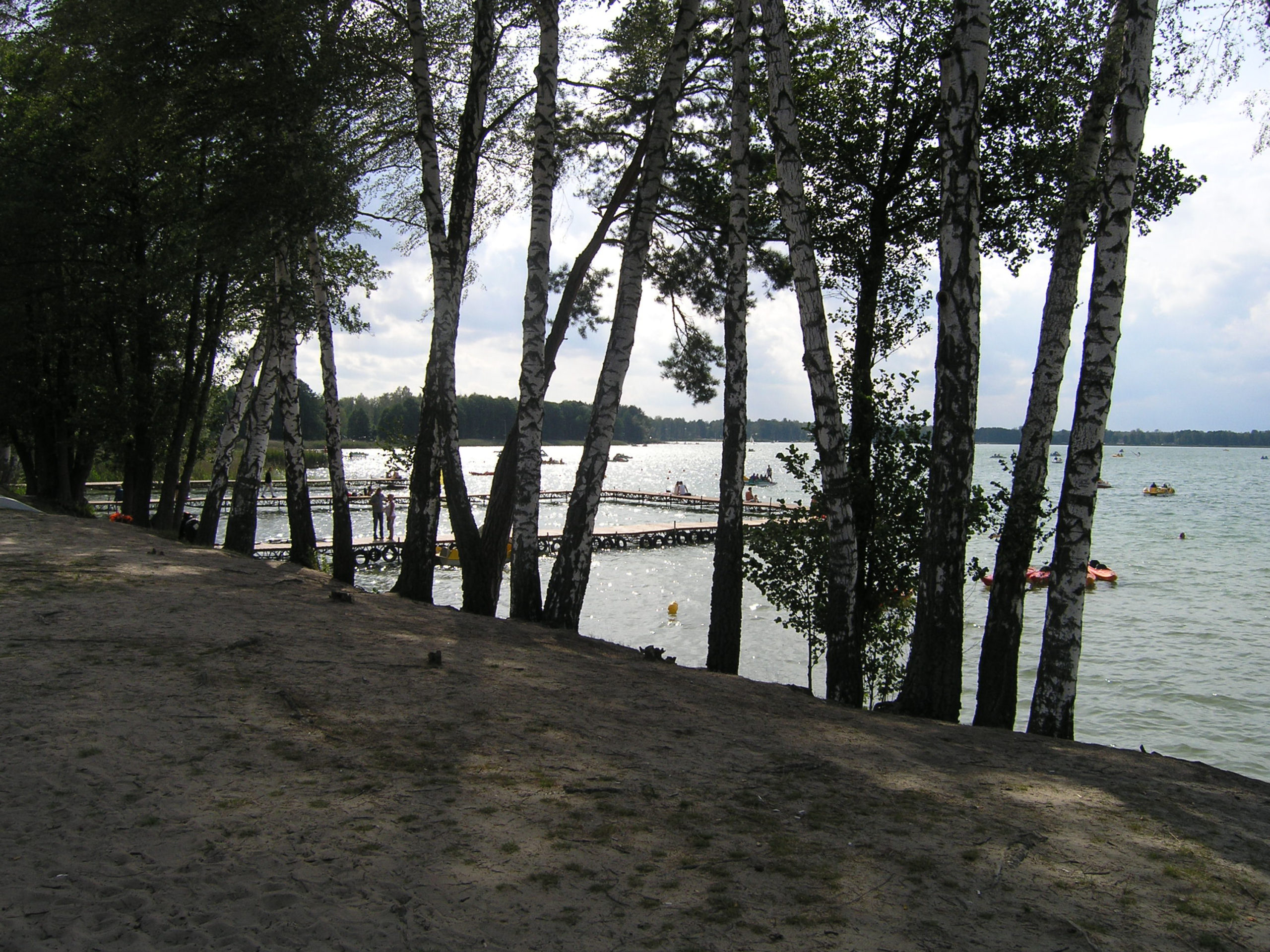 okuninka widok na jezioro i brzozy nad jeziorem