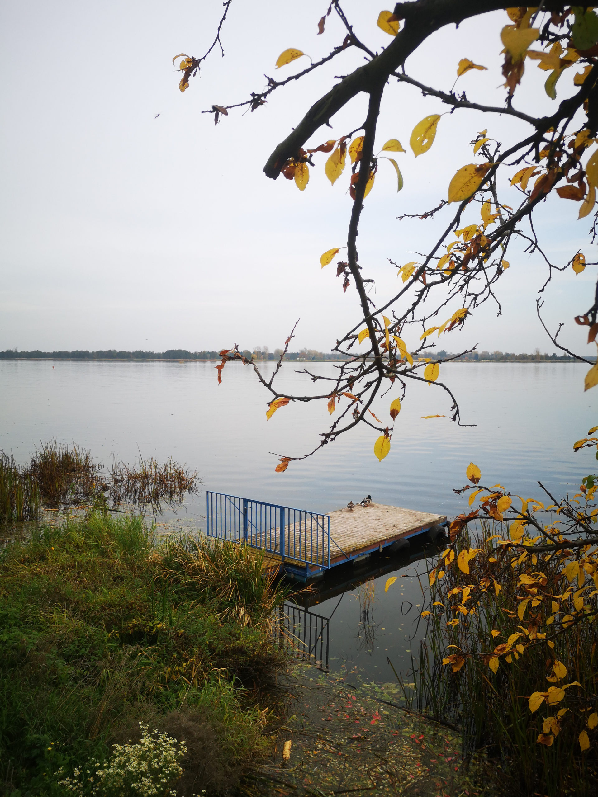 serock widok na jezioro i pomost