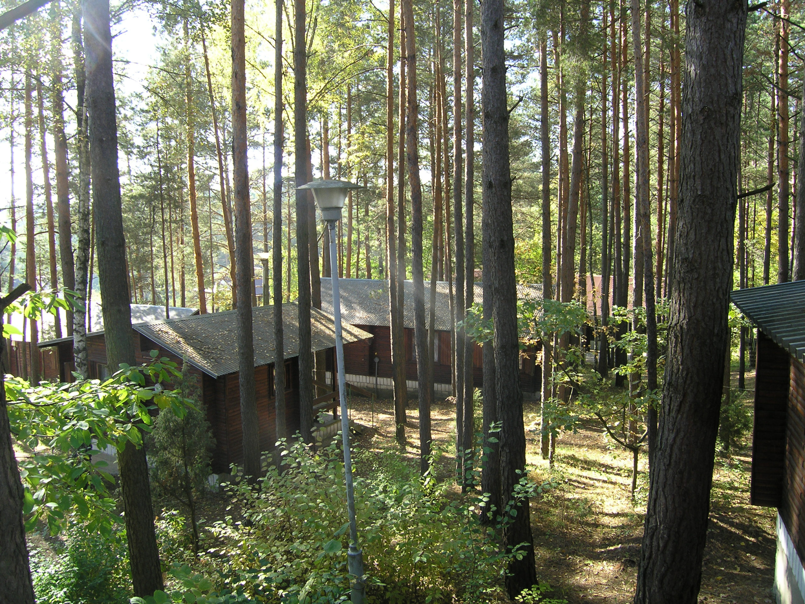 Widok na domki letniskowe w lesie