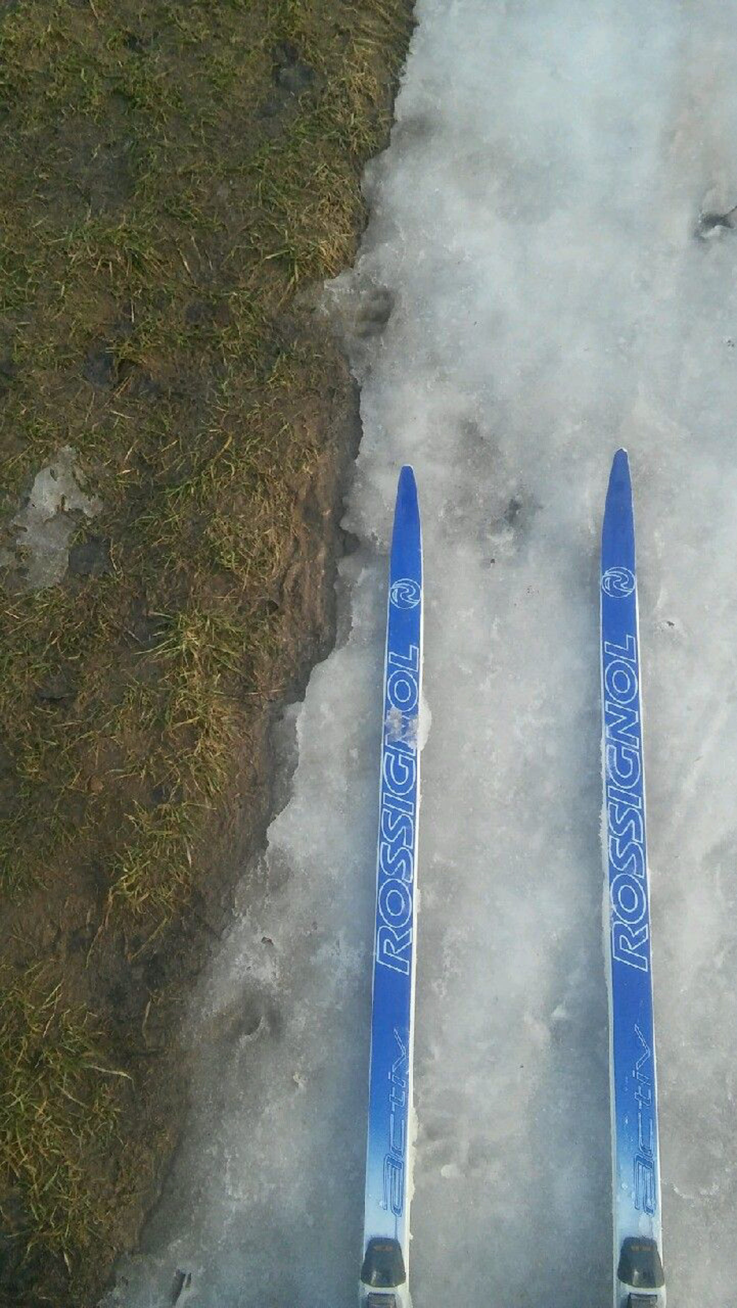 niebieskie narty biegowe na śniegu