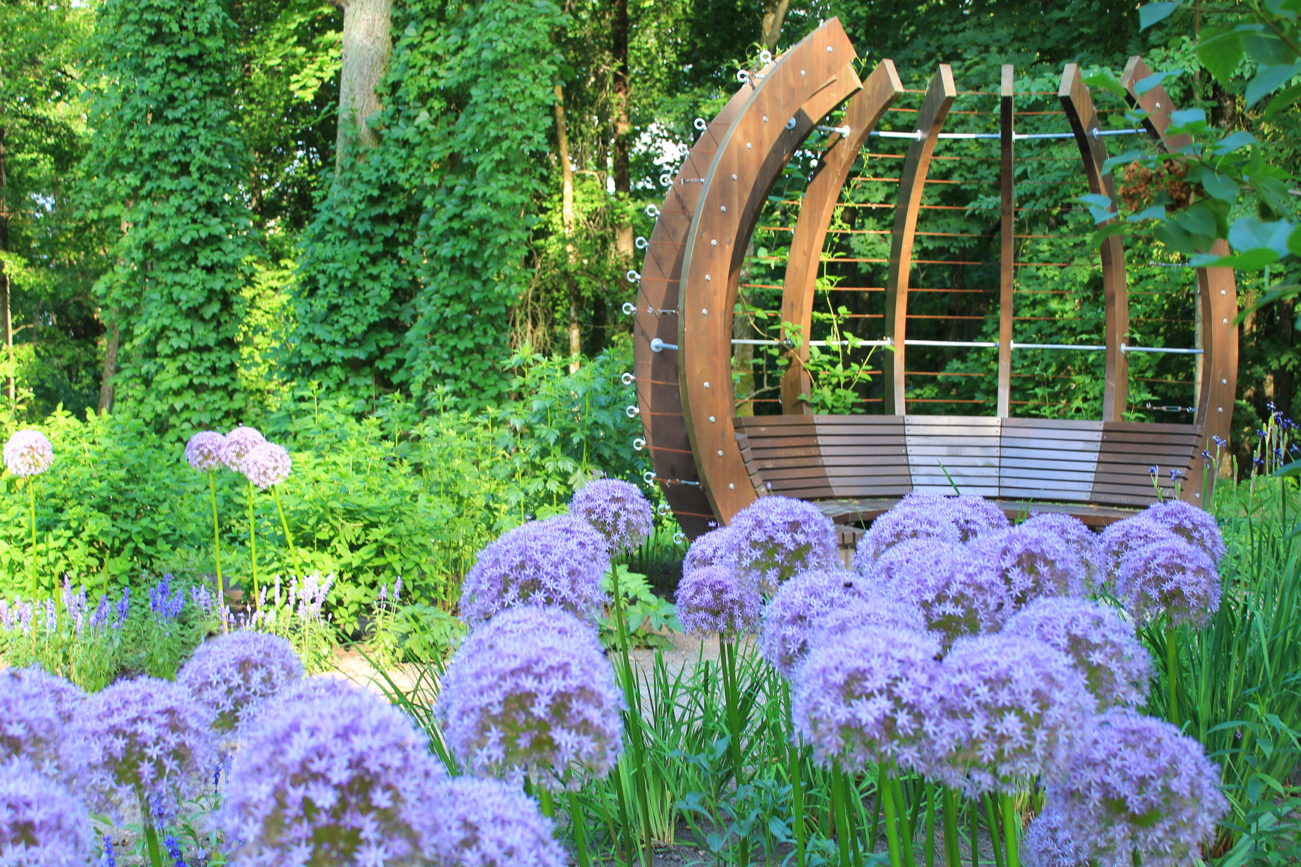 Drewniane miejsce do siedzenia i fioletowe kwiaty
