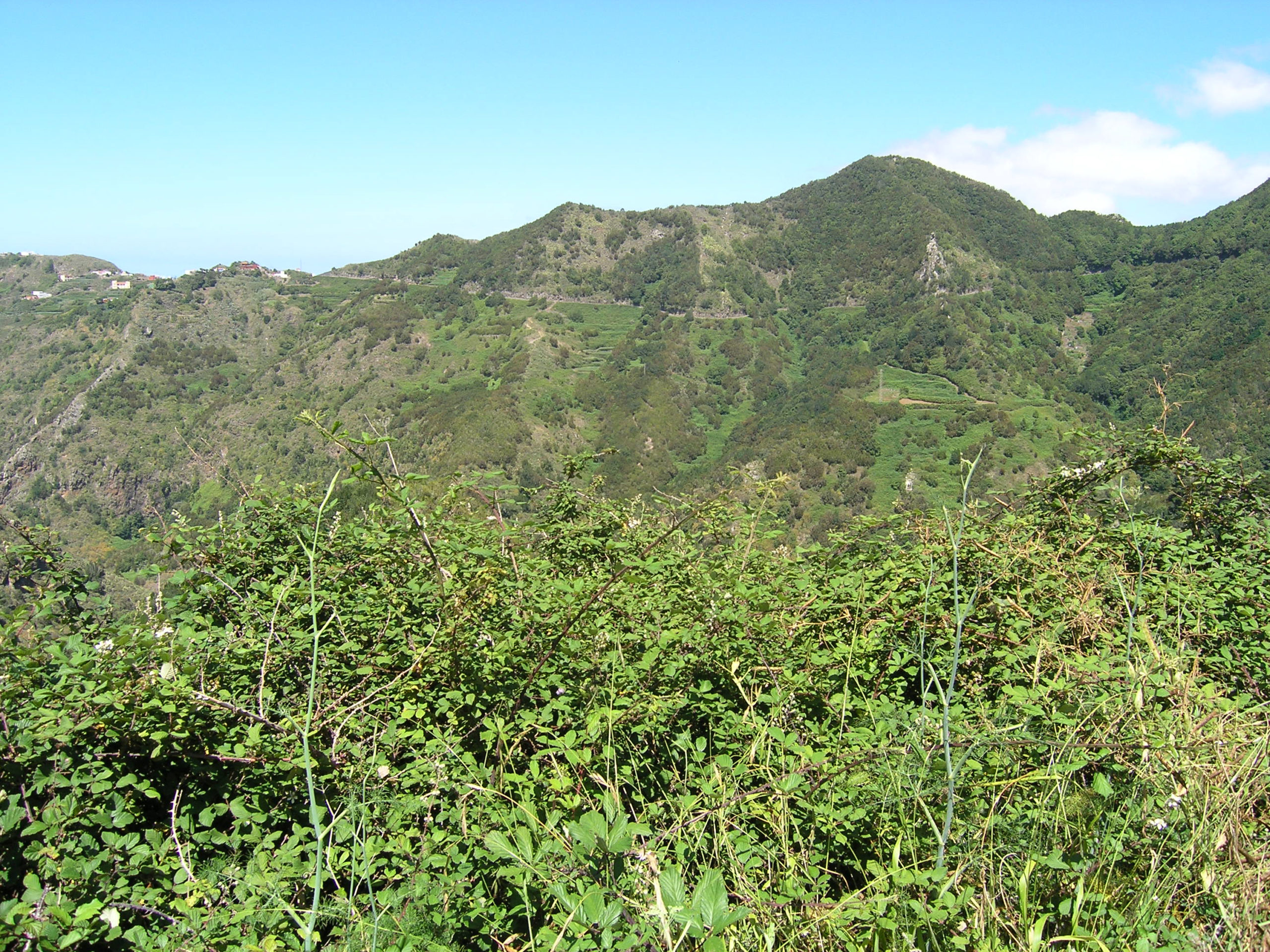 panorama na gory naga