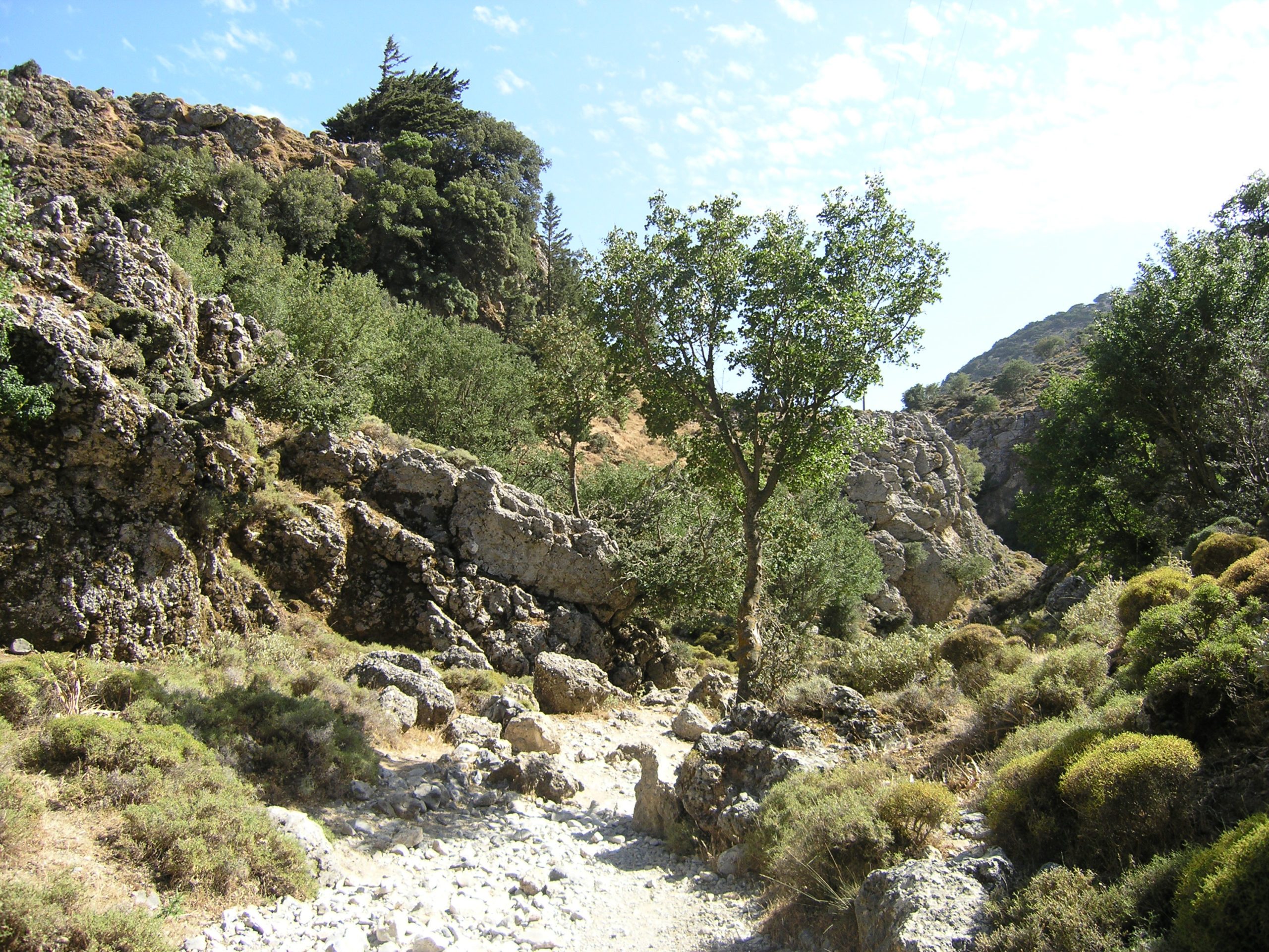 Widok na ścieżkę wśród skał