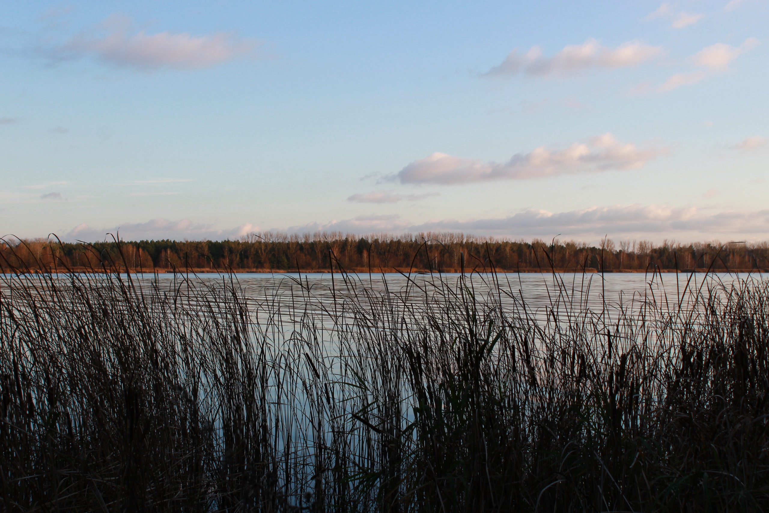 serock widok na jezioro