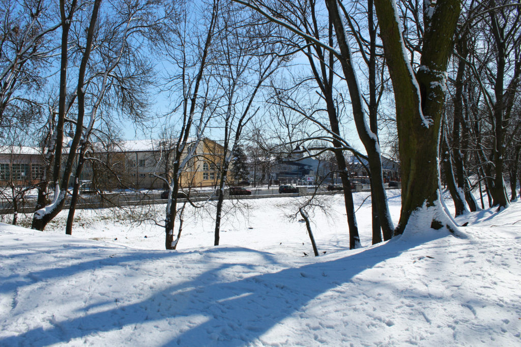 budynki za parkiem zimą