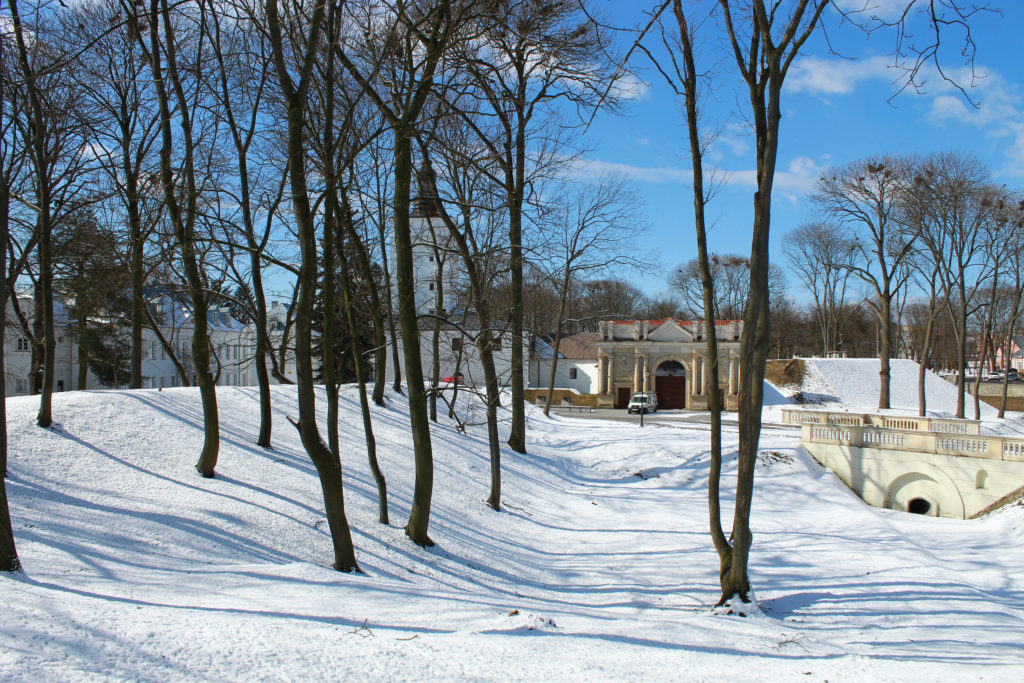 widok na park i budynki zimą