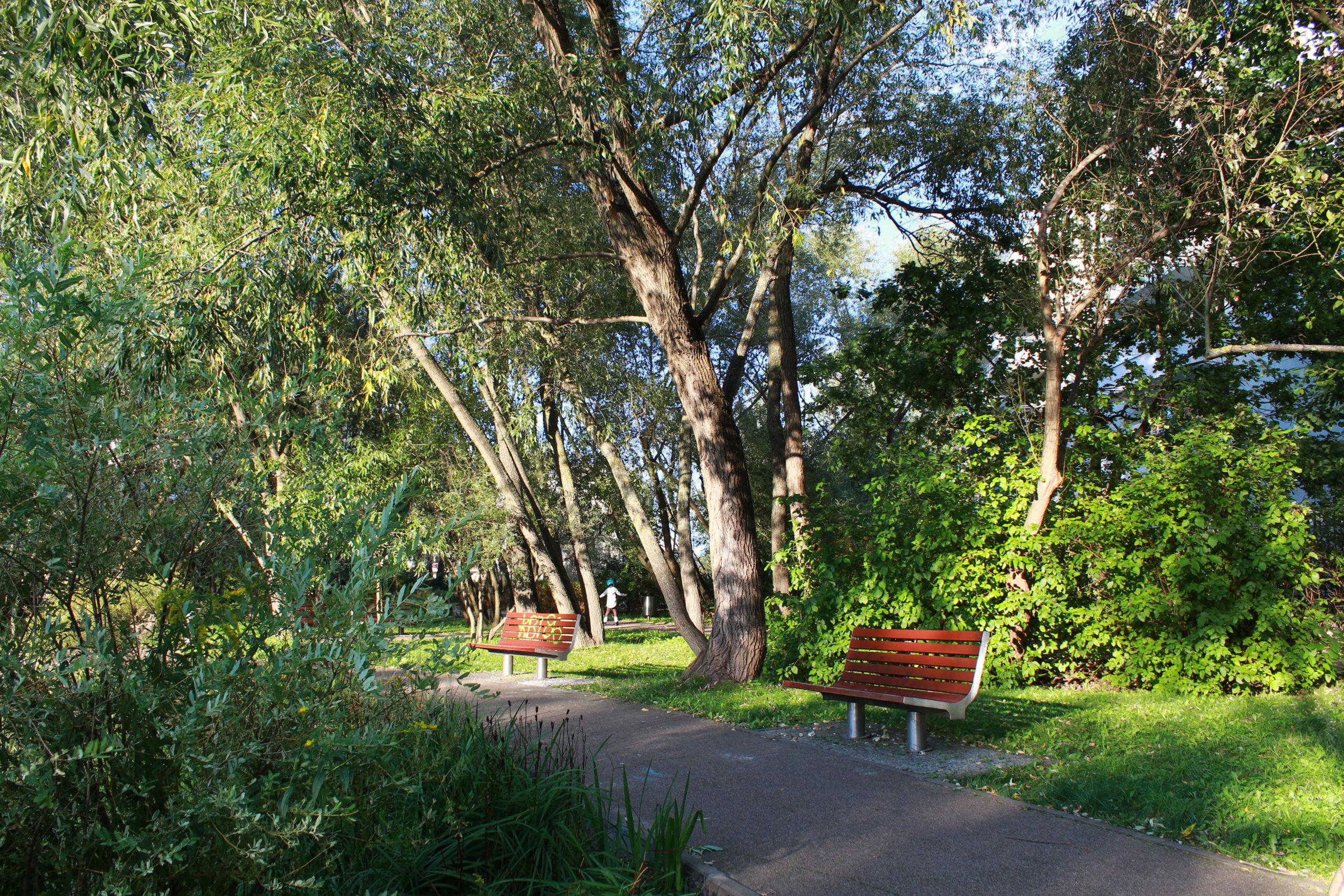 ławki przy ścieżce w parku