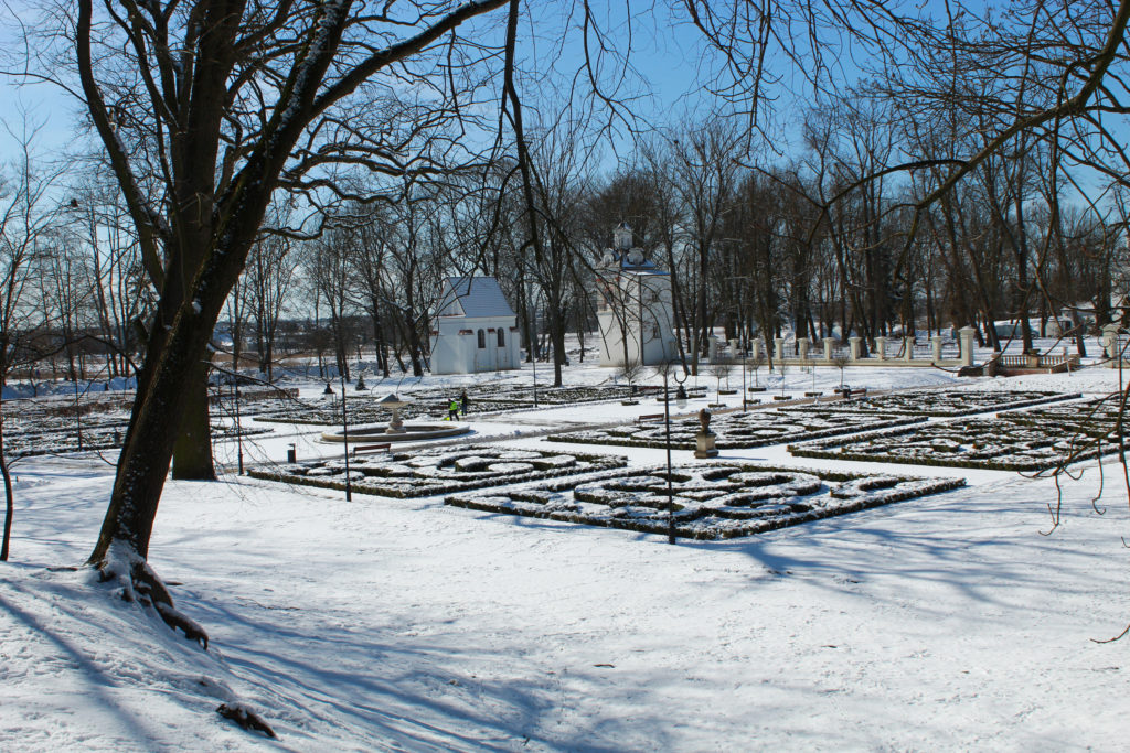 widok na ogród w parku zimą