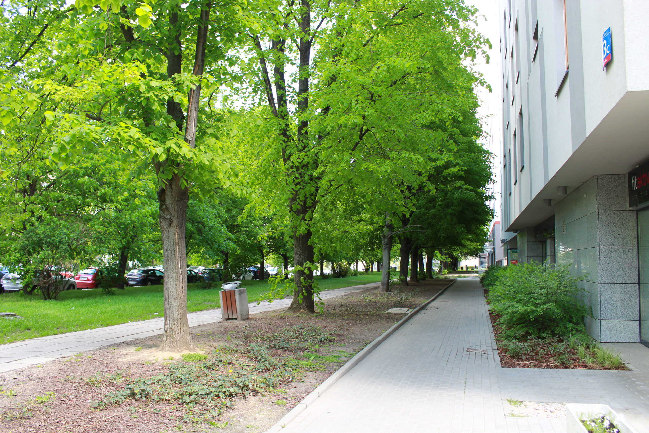 chodnik przy budynku wśród drzew