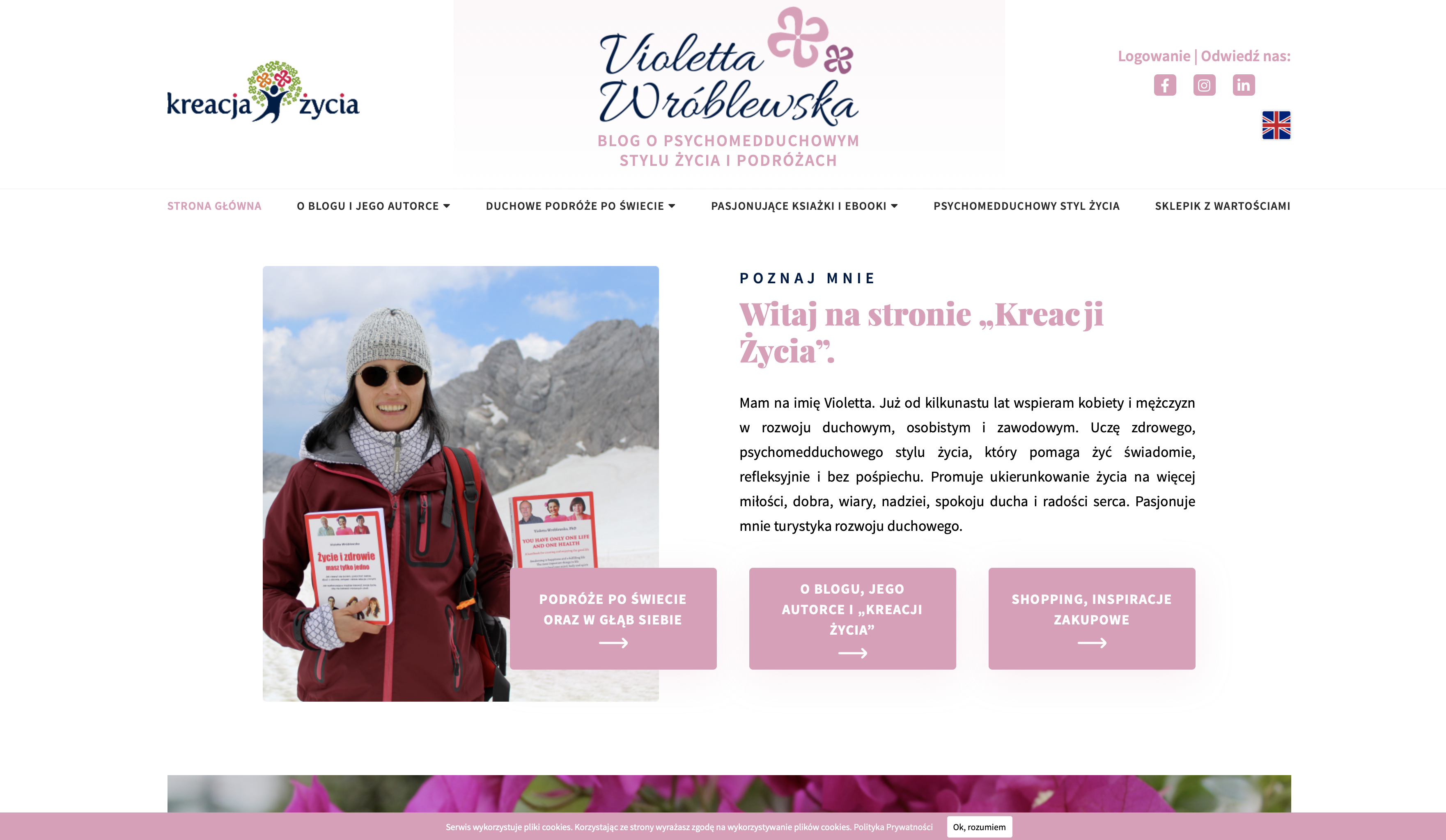 strona internetowa violettawroblewska.com