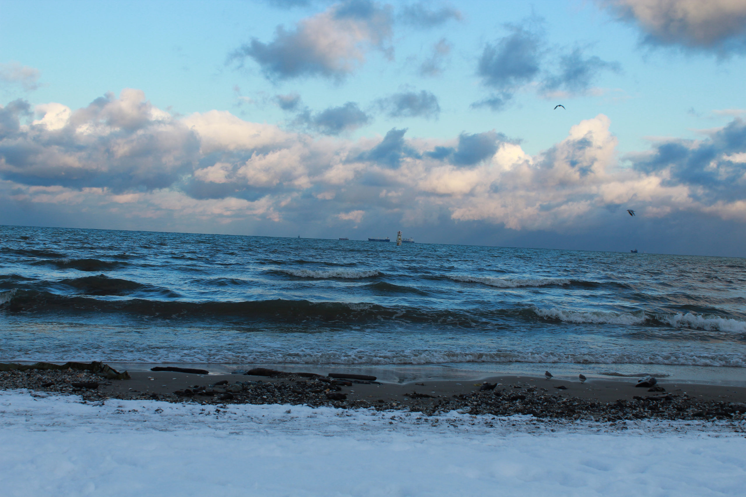śnieg na plaży i widok na morze